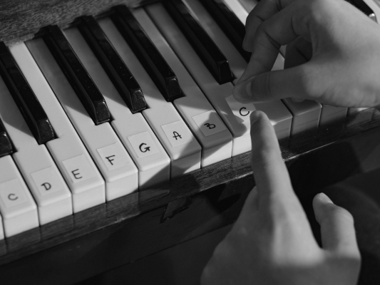 Digital Pianos for Beginners
